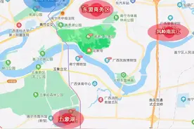 复盘南宁豪宅上位史图片