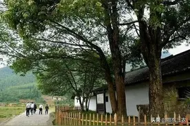 农村俗语：门前不栽树，屋后不开窗，有道理吗？为何屋后不开窗？图片