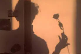 出生时身份证上可以写性别未定？｜又一明星出柜，这个柜有点特别图片