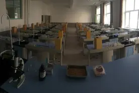 高中生物学实验：检测生物组织中的糖类、脂肪和蛋白质图片