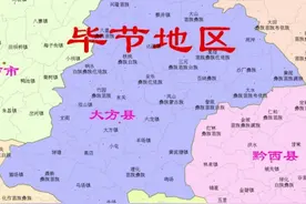 毕节大方县35乡镇人口、土地、工业…基本统计图片