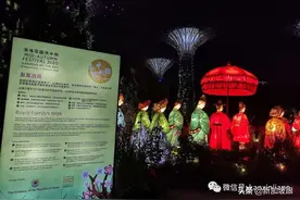 美呆！多图实拍滨海湾中秋灯展图片