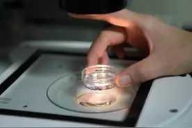 我国每年约有30万名试管婴儿诞生：走出生殖辅助误区图片