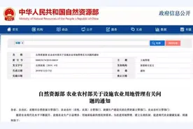 楼房养猪，一层可以养一万头图片