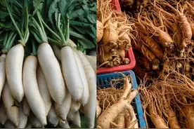 别生吃萝卜、白菜、西兰花，致甲状腺肿素和十字花科蔬菜的关系图片