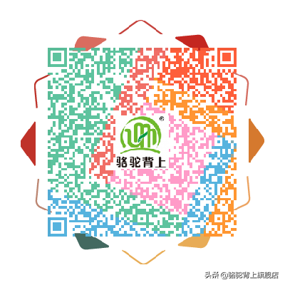 枸杞的功效与食用方法