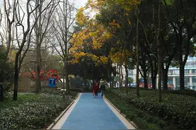 申动丨徐家汇公园健身步道里的秘密，你都知道吗？图片