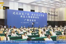 “建设壮美广西 共圆复兴梦想” 央企入桂视频会议举行 鹿心社 郝鹏讲话 陈武致辞图片