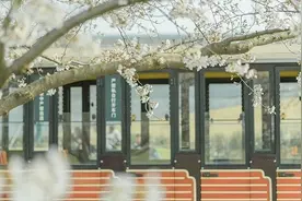 温柔又舒服！这份《莫奈花园调色指南》让人眼前一亮图片