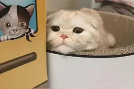 一组高级小众朋友圈背景图图片