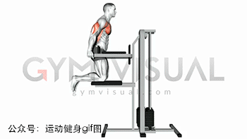 36张肌肉动图谱告诉你，全套胸部肌肉怎么练图片