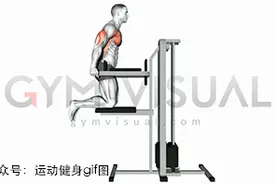 36张肌肉动图谱告诉你，全套胸部肌肉怎么练图片