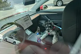 二手新能源车能买吗？真没想到竟有这么多坑？图片