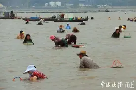禁渔期，宁波这个地方为啥可以淘海鲜？许多外地客也闻鲜而至图片