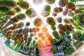 日照海洋公园今天开园啦！还有更多优惠政策等你来！图片