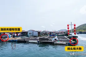 深度探钓：疍家渔排筏钓学问大，找准方向渔获多多图片