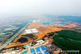 广西鹿寨：打造百亿林业产业链图片