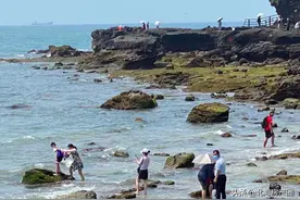 北海5月1日当天接待游客8.47万人次，实现旅游总消费约0.73亿元图片