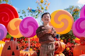 毗邻迪士尼，上海户外遛娃首选，一天玩转季高兔窝窝亲子园图片