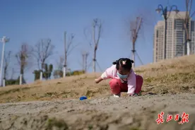冬雨将至，好在这次不冻人图片