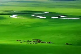 林草科普|中国生物多样性保护 - 内蒙古林业篇图片
