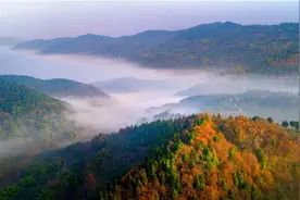 公园城市怎么拍？看我们就对了！（一）图片