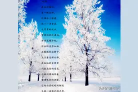 白桦~诗歌朗诵图片