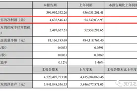 数码科技净利润下滑九成，支付业务贡献106万扭亏为盈图片