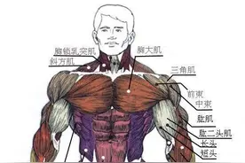 健身后是否一定要感觉酸痛，才算到位？图片
