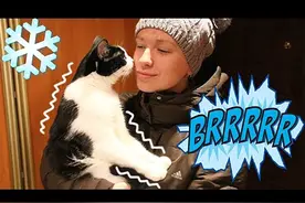 猫咪向回家的主人撒娇讨摸，在主人碰到猫咪鼻子时，它的反应超萌视频封面
