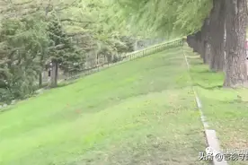 世上本没有路，走的人多了就踩出了路？图片