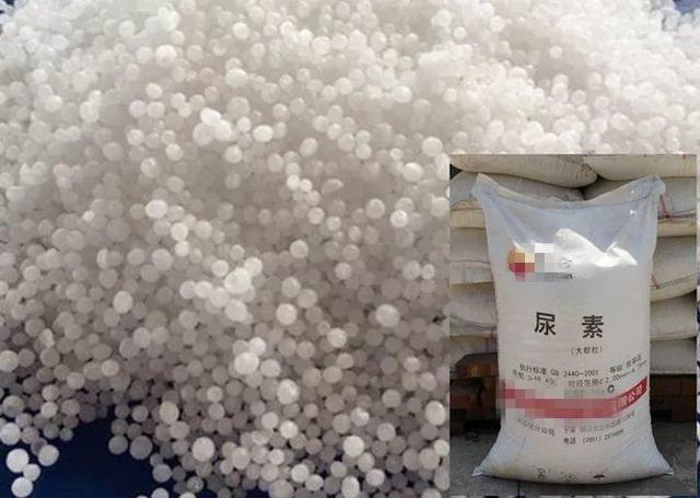 我的世界天启之境鱼鳞剑蓄力