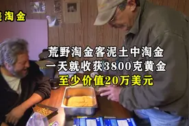荒野淘金客泥土中淘金，一天就收获3800克黄金，至少价值20万美元图片
