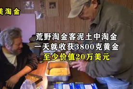荒野淘金客泥土中淘金，一天就收获3800克黄金，至少价值20万美元图片