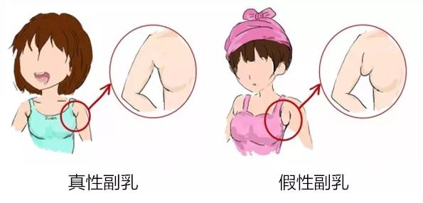 身体乳密度比水大 身体乳密度比水大