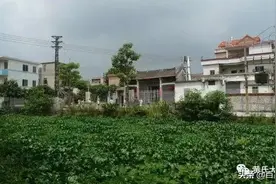 源远流长，黄氏故里！大沥平地竟藏了条700年学正村！图片