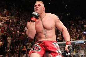 UFC近十年来重量级冠军“小菊”、“岳父”、“黑球”、等图片