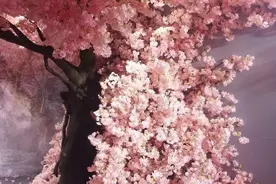 湛江也有十里桃花？煮一壶桃花酒邀你赴一场桃花宴图片
