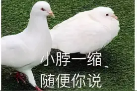 年前能不能换脸，就靠它们了图片