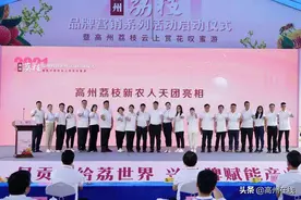 高州荔枝新农人天团C位出道图片