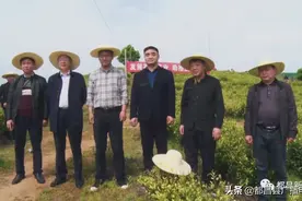 都昌县开展第四期茶叶技术培训班图片