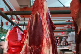 买牛腱子肉，前腱和后腱有啥区别？口感差别大，弄懂再买不浪费图片