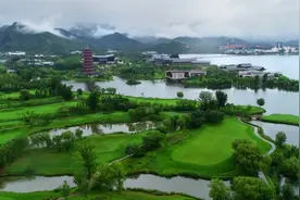 热点思考：从禁食野生动物看全民生态意识觉醒图片