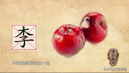 李姓的由来和历史（姓李的朋友注意姓李也要知道李字的来历）