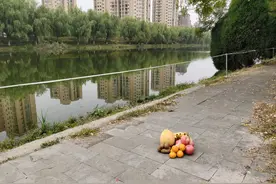 徐州男子因查酒驾被追落水死亡，在场交警见死不救？当地已成立调查组图片