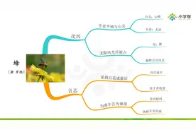 思维导图详解小学必背古诗第四课——《蜂》罗隐图片
