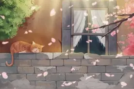 岳母主动带娃要求每月4千，女婿：孩子都7岁，我不想帮小舅还房贷图片