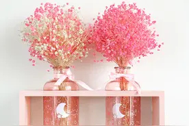 永生花 满天星 勿忘我 情人草 小芦苇花束搭配不一样的效果图片