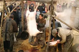 为什么在农村经常帮人杀猪的强壮屠夫，身体却很差？有3点原因图片