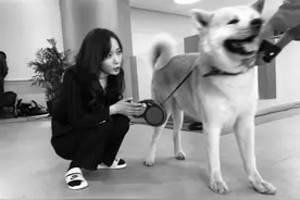 王珞丹怒斥同事的宠物鸭被人炖了汤！网曝鸭子价值近万元图片